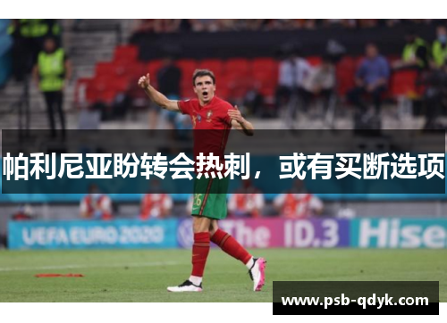 帕利尼亚盼转会热刺，或有买断选项